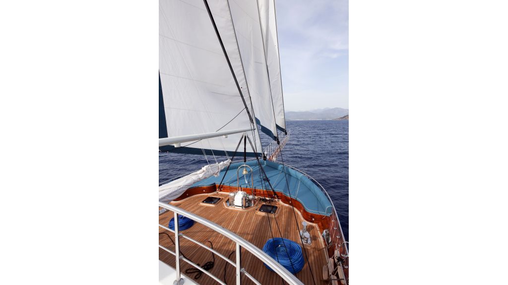 Gallery Thumbnail 37