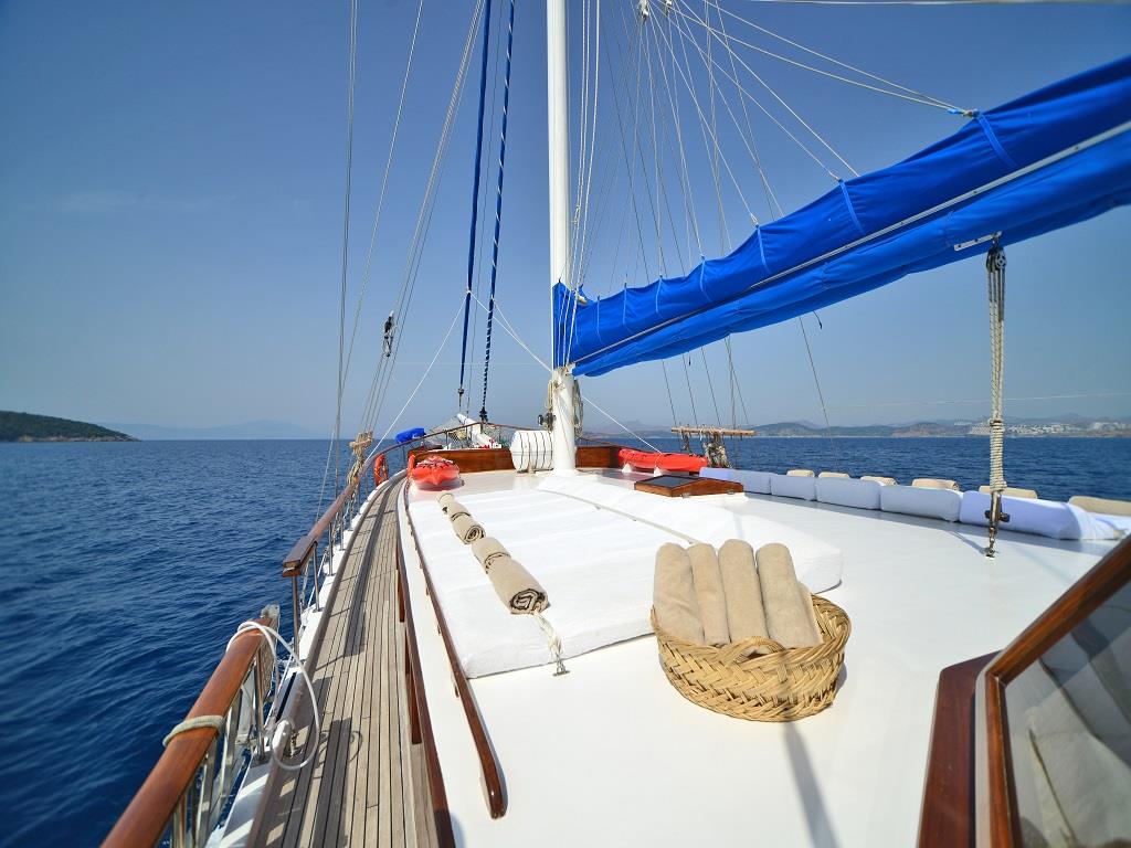 Gallery Thumbnail 5
