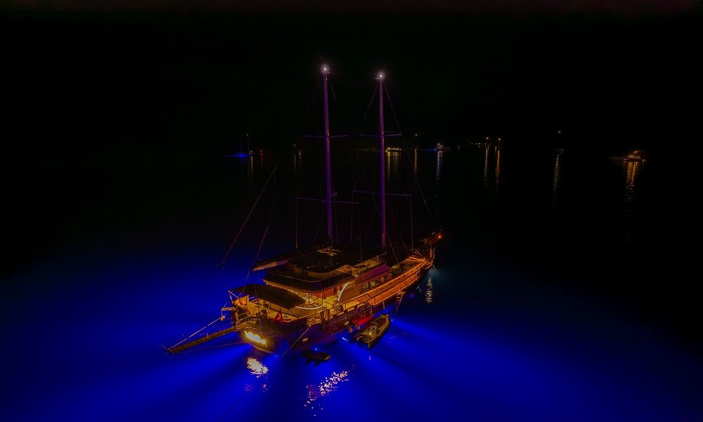 Gallery Thumbnail 3