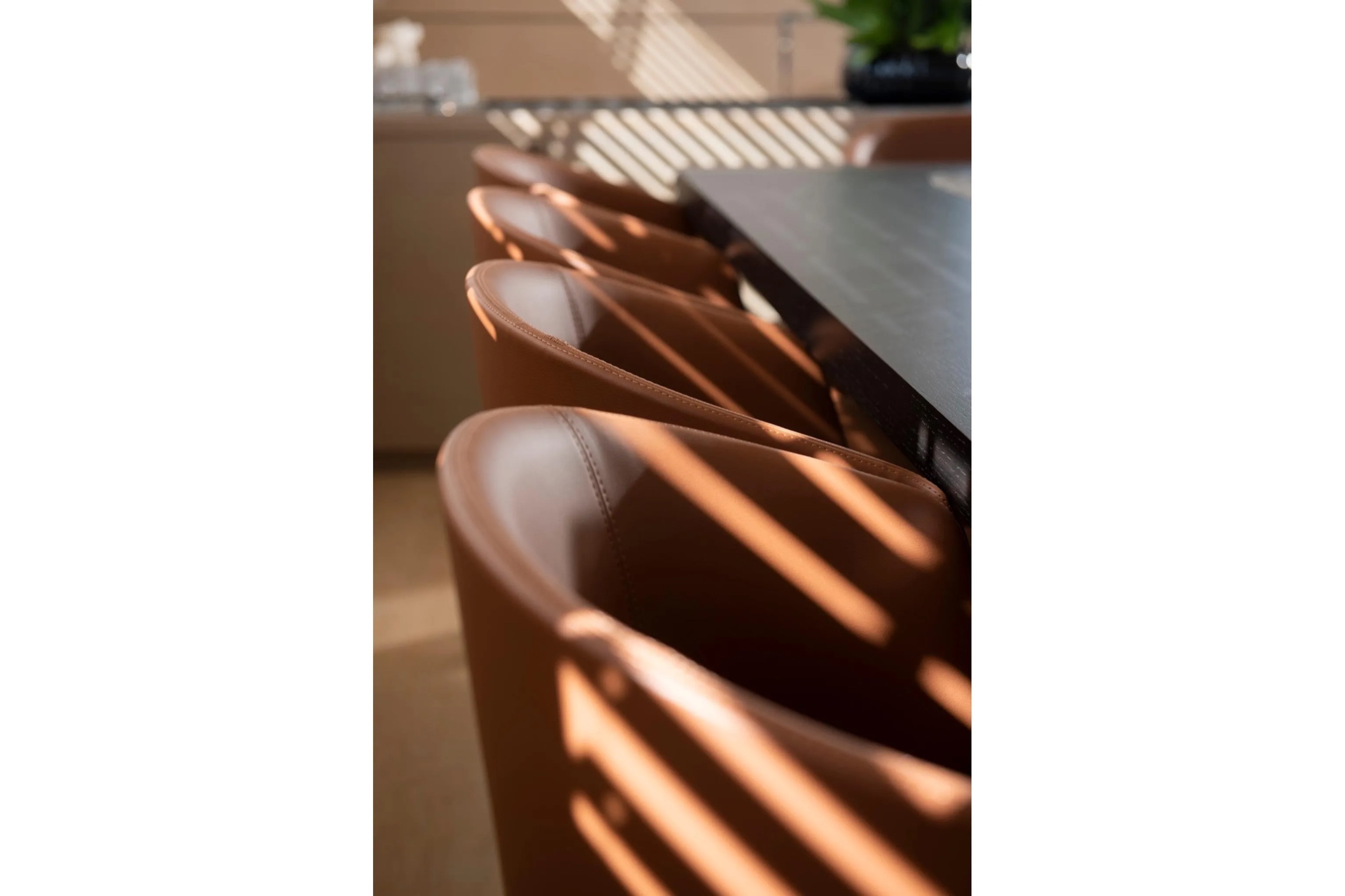 Gallery Thumbnail 58
